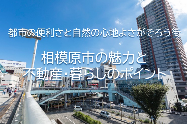都市の便利さと自然の心地よさがそろう街 相模原市の魅力と不動産・暮らしのポイント
